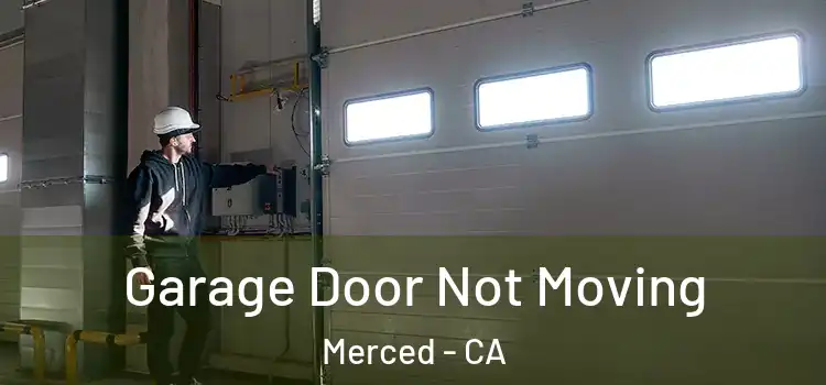  Garage Door Not Moving Merced - CA